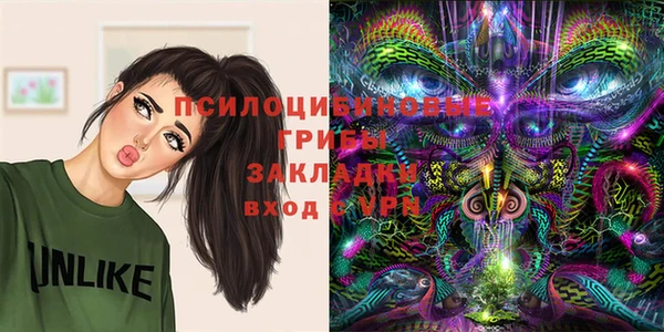 прущий лед Лагань