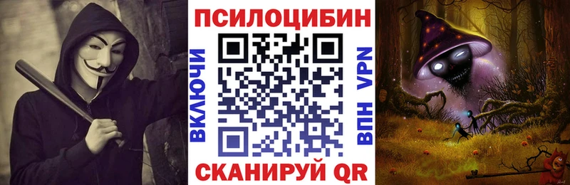 Купить  Омутнинск  Галлюциногенные грибы GOLDEN TEACHER 